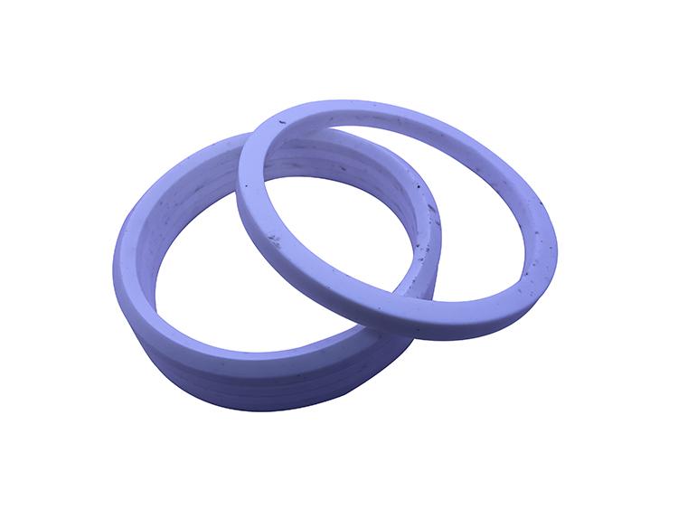 Polytetrafluoroethylene seal