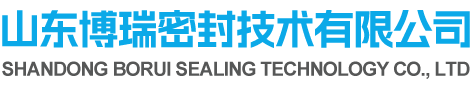 Shandong Borui Sealing Technology Co., LTD