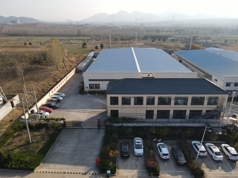 Real Company View